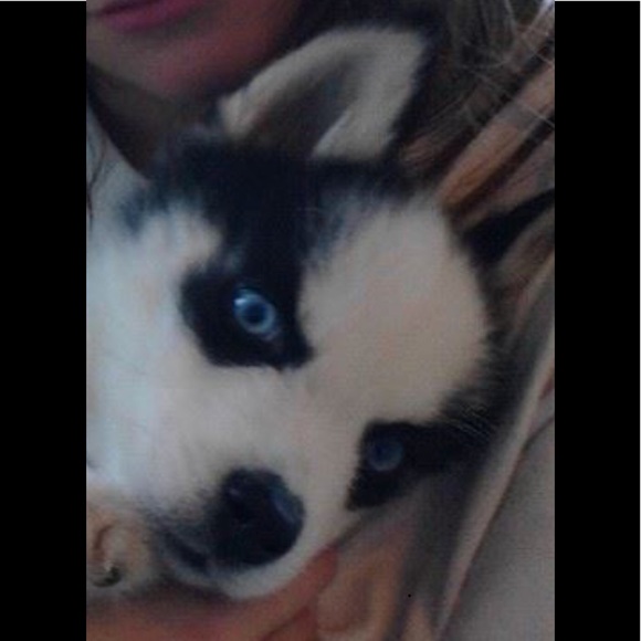 Meet your Posher, Shannon - Picture 8 of 8